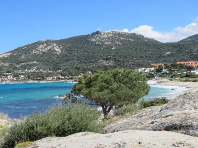 T2 Renove 100M Plage Avec Spa Privatif Entre Calvi Et Ile Rousse Лумио Экстерьер фото